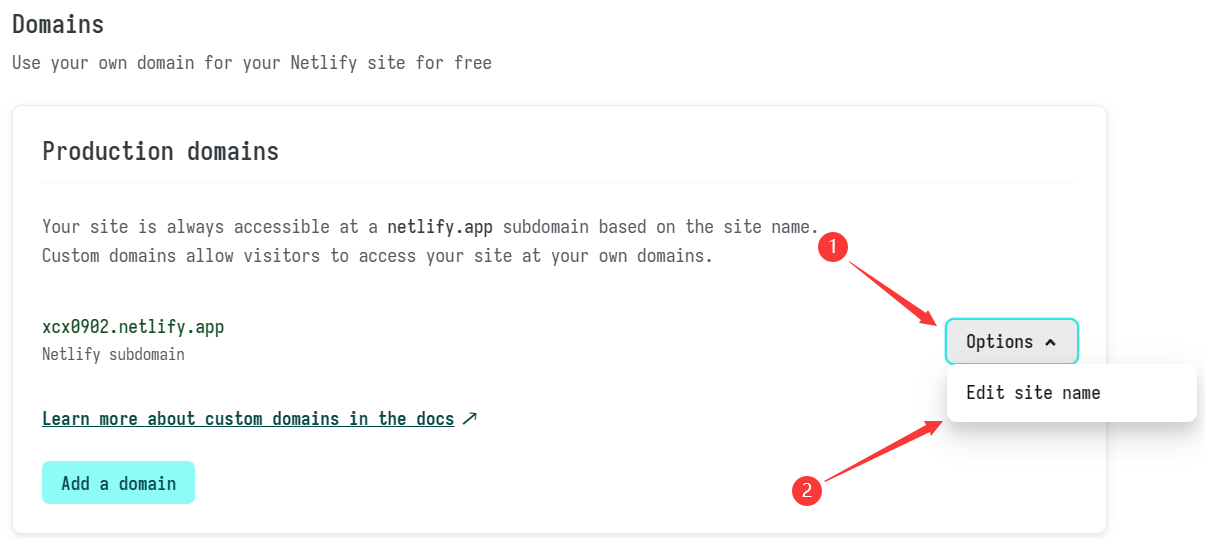 netlify-set-domain-2